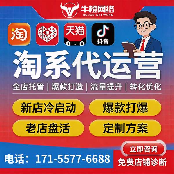 跨境电商案例